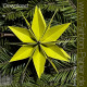 Faltstern 6 / Download