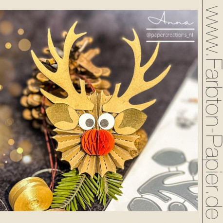 Rentier-Komplett-Set Bundle aus Nr.166, 62 &27