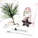 Download - Box mit Stufe / Yvonne Ludwig