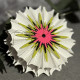 Zubehör-Set 408 Mittelpunktstanzen / Sternblüte