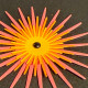 Zubehör-Set 405 Mittelpunktstanzen / Sonne