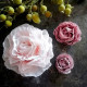 Stanze für Kreppblume / 413 Mini & S