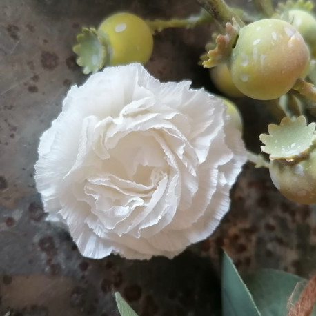Stanze für Kreppblume / 413 Mini & S