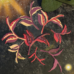 Stanze Blätter 3 (461)