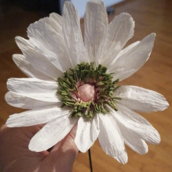 Stanze: Zubehör-Kreppblume / Kamm ( 464)