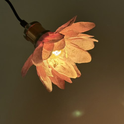 Stanze: Kreppblume / Propeller ( 463 L)