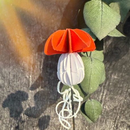 Glückspilz Nr.481 Mini