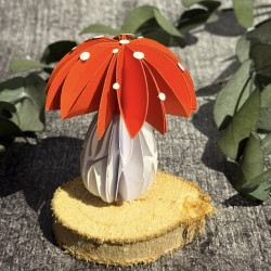 Glückspilz Nr.481 M