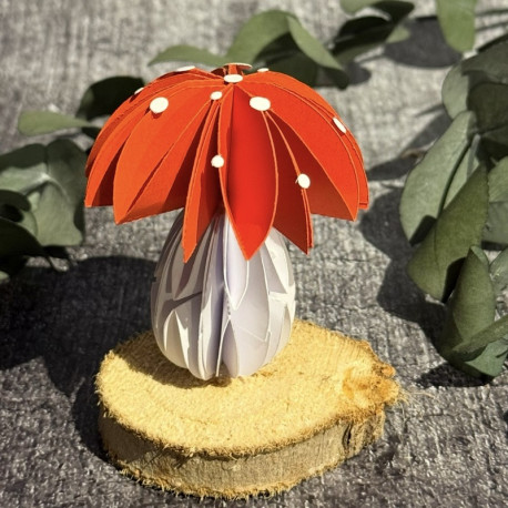 Glückspilz Nr.481 M