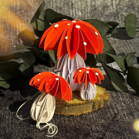 Glückspilz- Bundle Nr.481