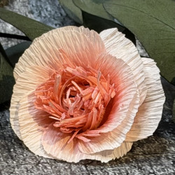 Stanze für Kreppblume / 500M