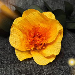 Stanzen-Bundle für Kreppblume Nr. 499 ( Mini / S / M)
